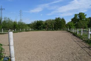 Der Außenplatz auf der Reitanlage Berkenheide in Greven lädt zum Springen ein.