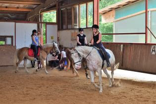 Reitunterricht in Greven auf dem Hof Berkenheide