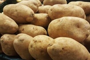 Kartoffelsorten_1